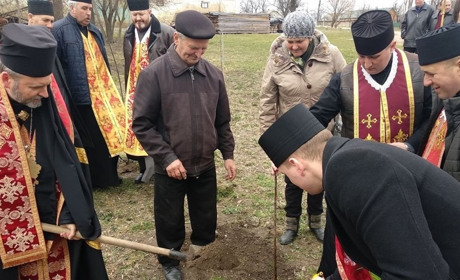 Другу в Україні Алею ненародженої дитини висадили у селі Улашківці на Чортківщині