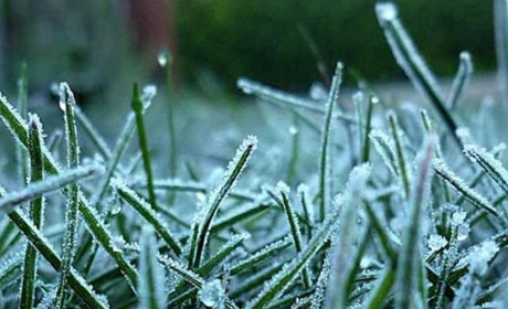 До нас наближаються заморозки: прогноз погоди на найближчі дні