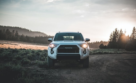 Все разнообразие Toyota