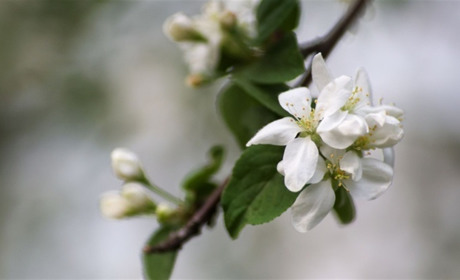 Від +12°C до +18°C: детальний прогноз погоди у Південноукраїнську з 13 по 19 квітня