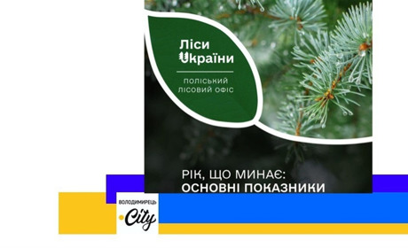 Поліський лісовий офіс прозвітував за 2023 рік - що цікавого?