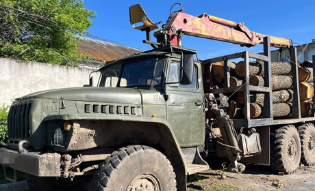 Комунальне підприємство підозрюють в незаконній вирубці дубів під "кришуванням" правоохоронця