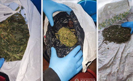 У жителя Білопільщини поліцейські виявили марихуану