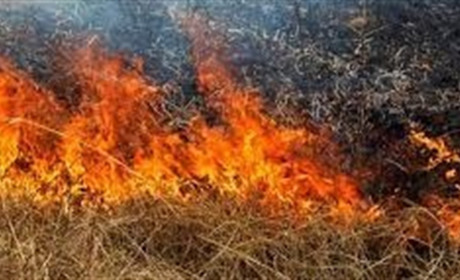 У Білопільській громаді горіла суха трава