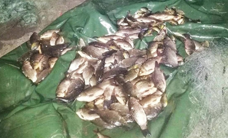337 рибин у нерест: у Миколаївській громаді затримали рибалку-браконьєра