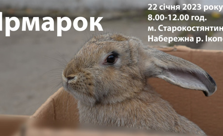 У Старокостянтинові проведуть ярмарок твариництва, птахівництва та сількогосподарської продукції