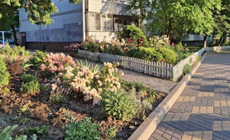 Понад 100 сортів троянд та багато інших рослин Лариса Петрова висадила на клумбах свого двору