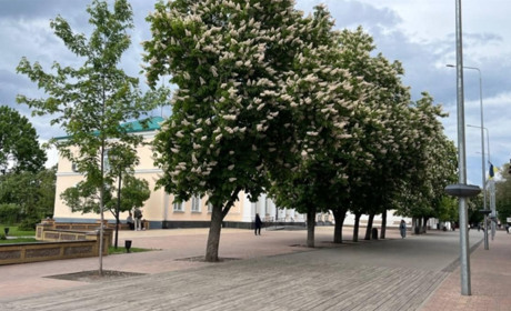 Що синоптики прогнозують. Погода на 20-24 травня