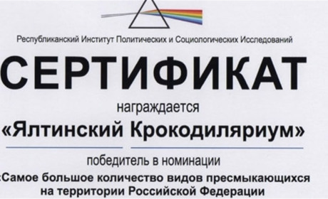 Псевдосоціологія: хто малює фейкові результати фейкового референдуму