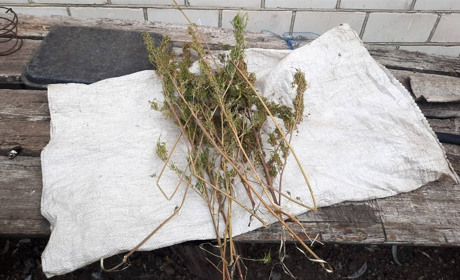 Поліція Білопілля викрила чоловіка у зберіганні наркотиків