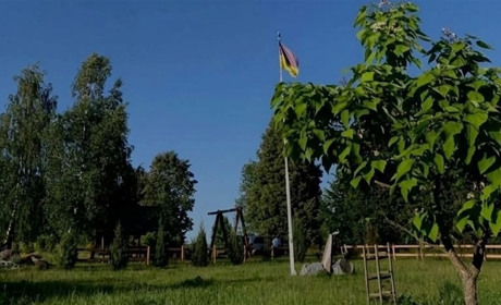 "Бузкове озеро" і висадка лип в Парку Пам'яті Нескорених: 4 квітня звягелян запрошують на толоку