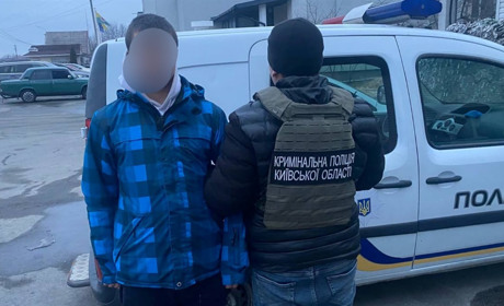 На Фастівщині у жінки викрали генератор