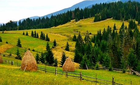 Природа Закарпаття