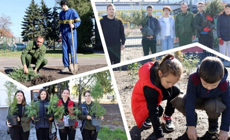 Випускники та першокласники висадили біля ліцею алею декоративних кущиків та квітів