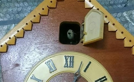 У Сватівському музеї зберігається годинник із зозулею. Він і досі працює