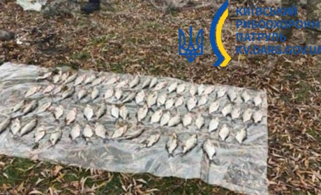 На Переяславщині чоловік незаконно ловив рибу сітками, завдавши збитків на 117 300 грн