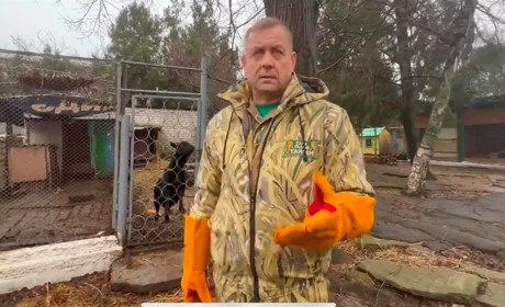 На директора парку «Тайган», який вивозив тварин з Херсонщини, напали вкрадені леви