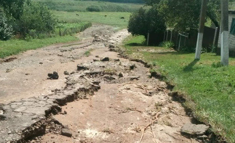 Зламані дерева, змитий асфальт та загублений врожай: на Петропавлівщину налетіла негода