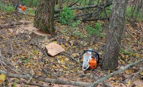 Трьом чоловікам повідомлено про підозру: завдали збитків більше ніж на мільйон гривень