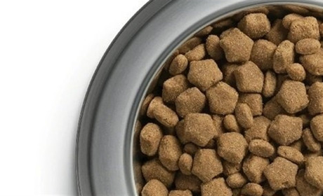 Корм Dog Chow – харчування з урахуванням особливих потреб домашнього улюбленця