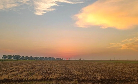 На Кагарличчині завершили збирання ранніх культур: які результати отримали аграрії громади