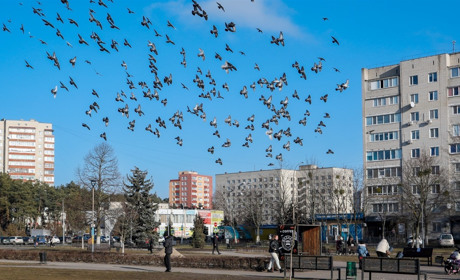 Радіаційний стан навколо Хмельницької АЕС за минулий тиждень