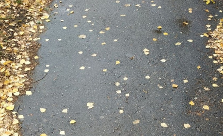 До +25°C: якою буде погода у Гадячі в перший тиждень осені