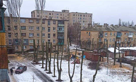 Почему обрезали деревья в Попасной во дворе дома на улице Суворова