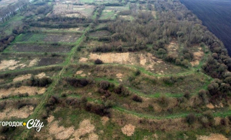 Площу Індустріального парку в Городку буде розширено на 99 га. Депутати міськради рішення підтримали