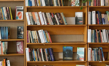 Книжки і Сарни: що почитати про місто та район