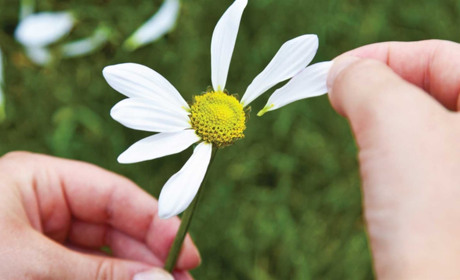 Как провести в Мелитополе выходные 28-29 июля