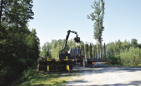 "Від веж до відеокамер": директор Звягельського надлісництва про цифровізацію лісу під час війни