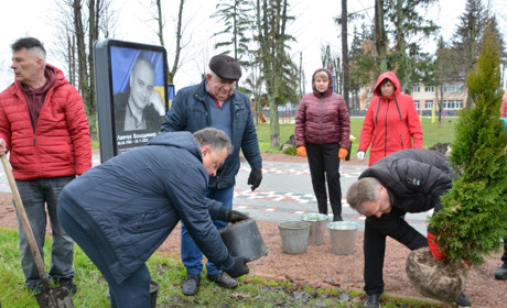 У Студениках висадили "Туї пам'яті" на Алеї Героїв за кошти депутатів і виконкомівців