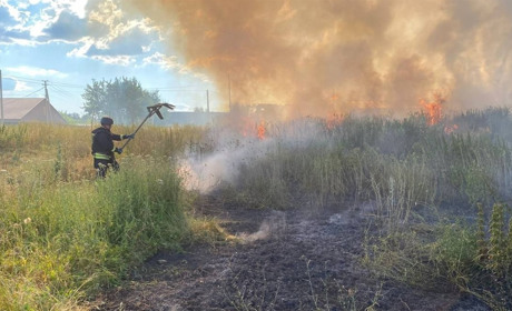 На Переяславщині через обрив електролінії спалахнула пожежа: вогонь охопив 0,8 гектара сухостою