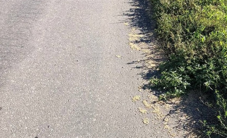 Окупанти вивозять зерно з Бердянська морем та вантажівками