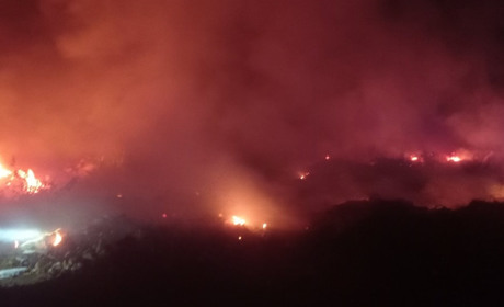 У Березняках горіло сміттєзвалище, а в Сердюківці — хата