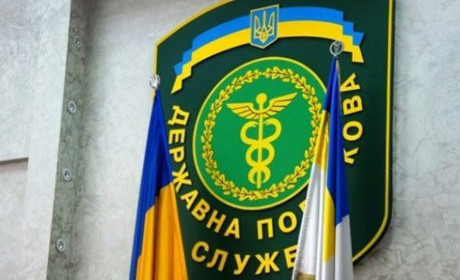 На Донеччині виявлено фіктивну продаж тютюнових виробів в оптових обсягах