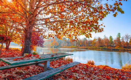 На початку тижня діставайте парасольки: синоптики прогнозують дощі та грози