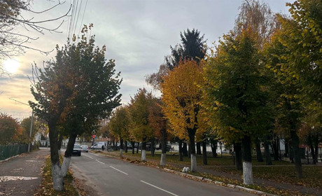 Погода у Старокостянтинові на 3-9 листопада: дощовий початок тижня й прохолодні вихідні