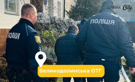 Повідомив до поліції, що збила машина: у Великодолинському чоловік забив до смерті дружину