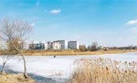 Погода у Нетішині на завтра, 1 лютого