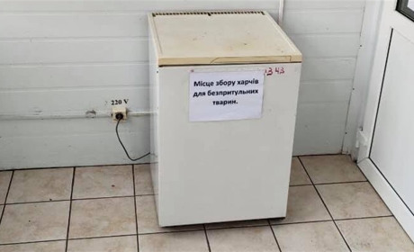 Хочете підтримати безпритульних тварин? У місті визначили місця, куди можна принести харчі