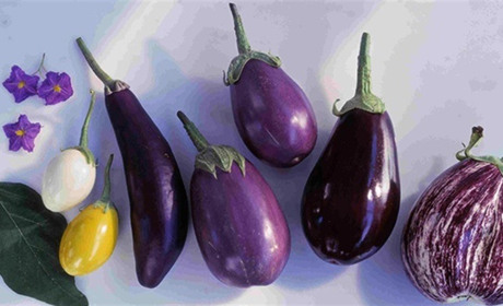 Чому варто їсти баклажани: корисні властивості