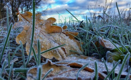 На Сумщину йдуть сильні заморозки: прогноз синоптиків на найближчі дні