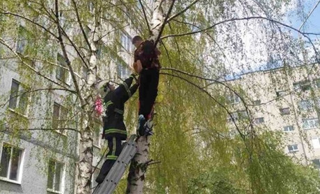 Поліз по кота: у Нетішині надзвичайники зняли з дерева 14-річного юнака