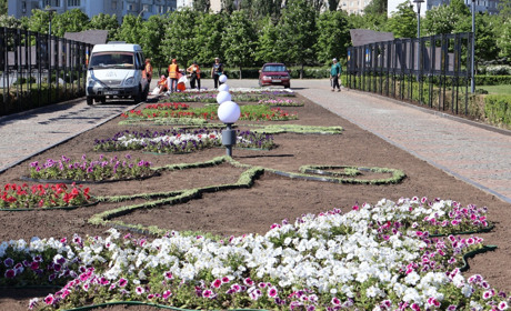 Лобелії, чорнобривці та петунії прикрасили клумбу на Меморіалі захисникам України