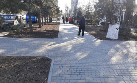 Біляївка перевтілюється: комунальники звільняють центр від старих кущів, щоб висадити нові