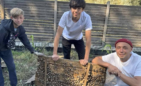 Земля, вода і трішки терпіння: равликове диво родини Корнієвських на Менщині