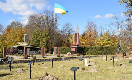 "Я розквітну весною": у Новограді висадили Алею на честь жінок, які загинули на війні