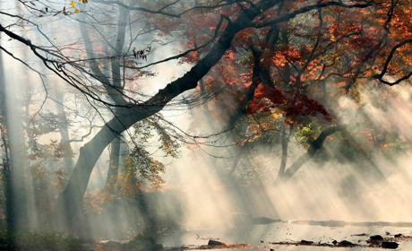 Дощ, туман і хмарність: яку погоду прогнозують синоптики Сумщини та України